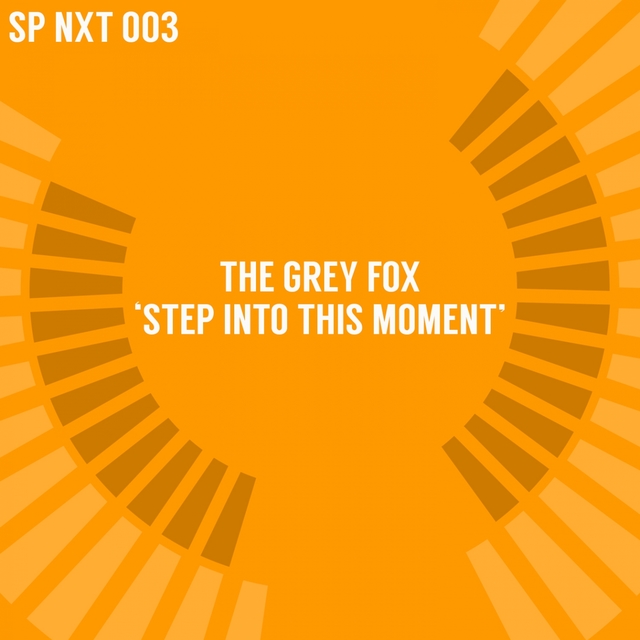 Couverture de Step into This Moment