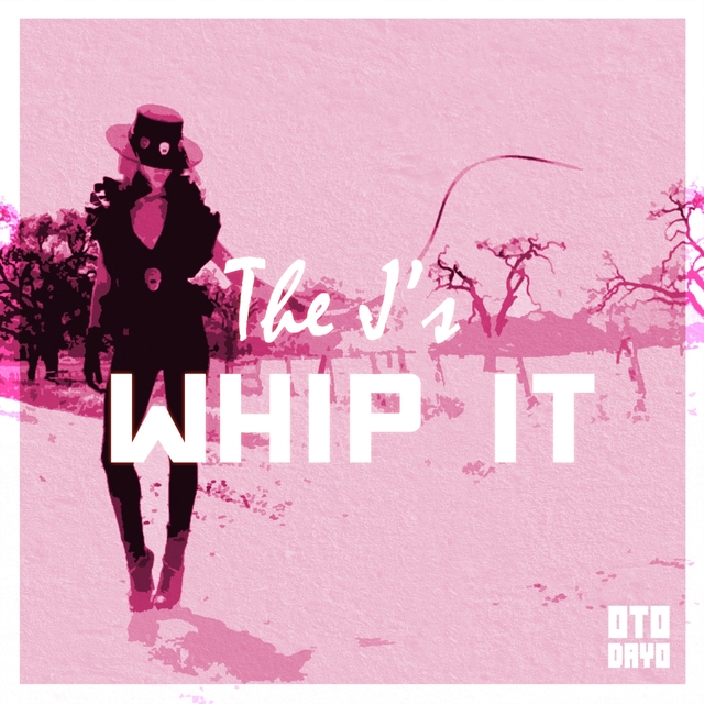 Couverture de Whip It