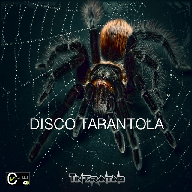 Couverture de Disco tarantola