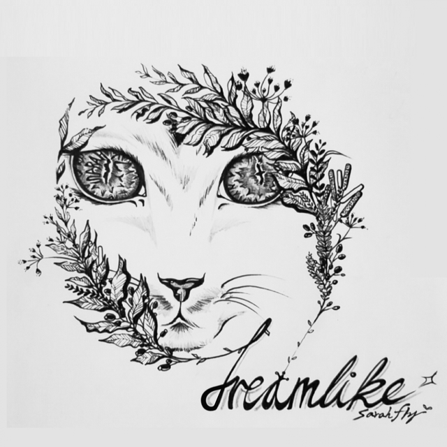 Couverture de Dreamlike