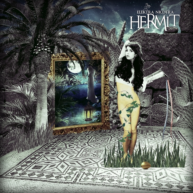 Couverture de Hermit