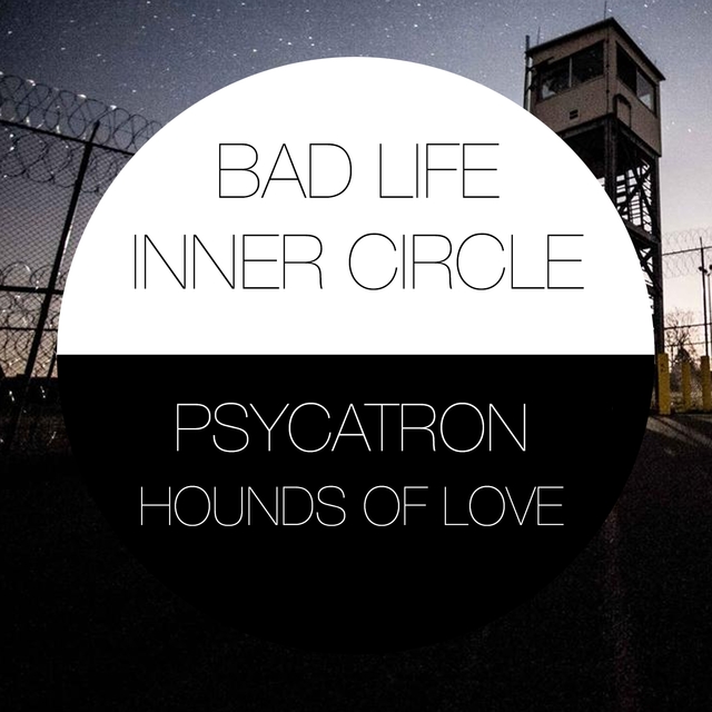 Couverture de Psycatron Presents Hounds of Love