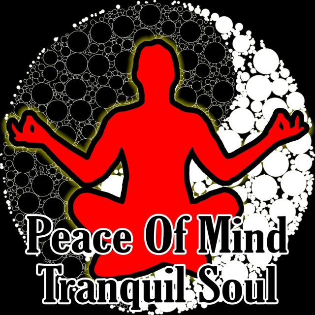 Couverture de Peace Of Mind Tranquil Soul