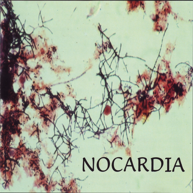 Couverture de Nocardia