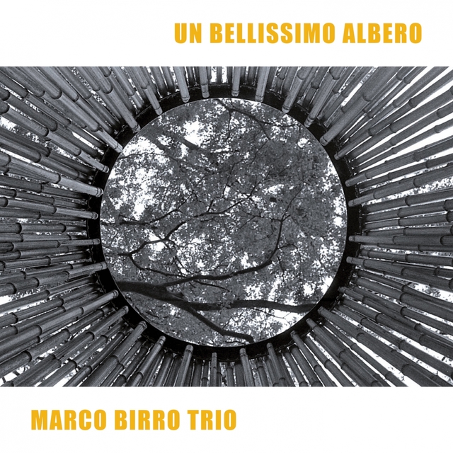 Couverture de Un bellissimo albero