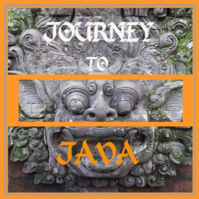 Couverture de Journey to Java