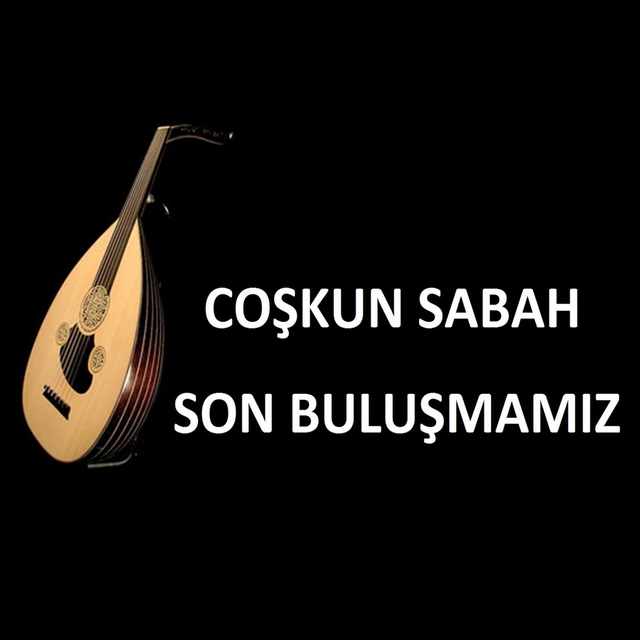 Son Buluşmamız