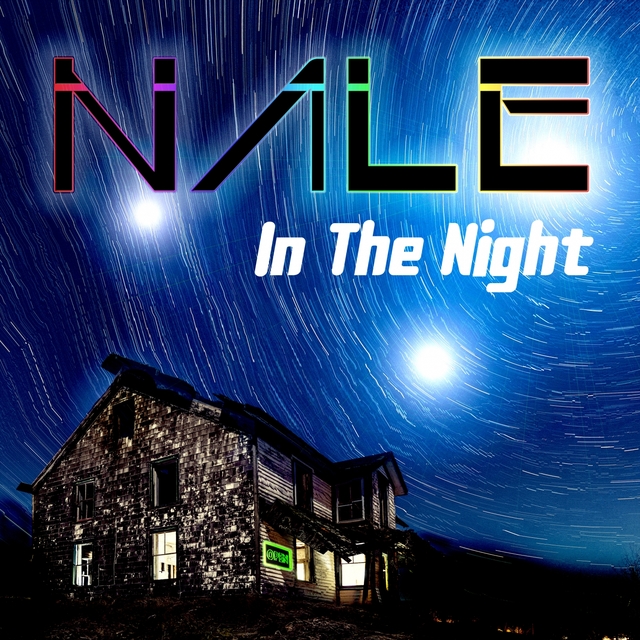 Couverture de In the Night