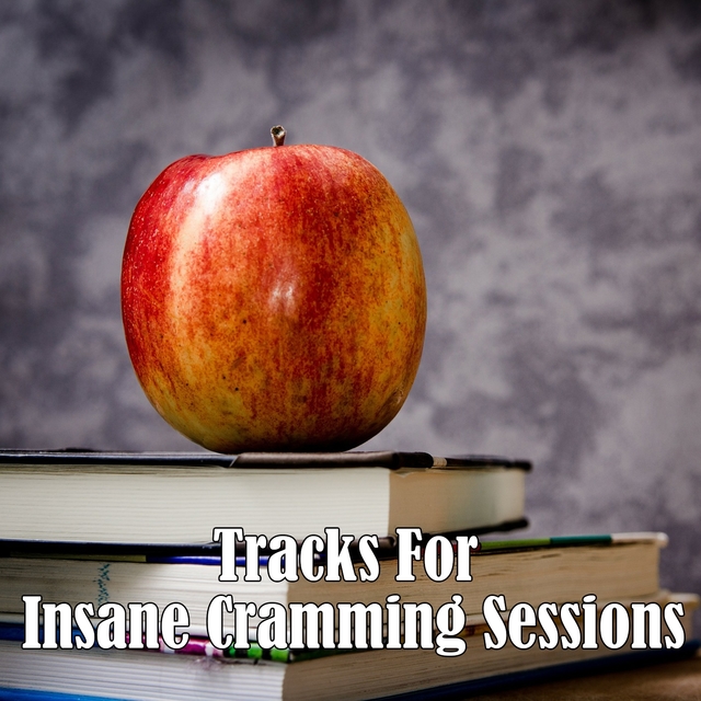 Tracks For Insane Cramming Sessions