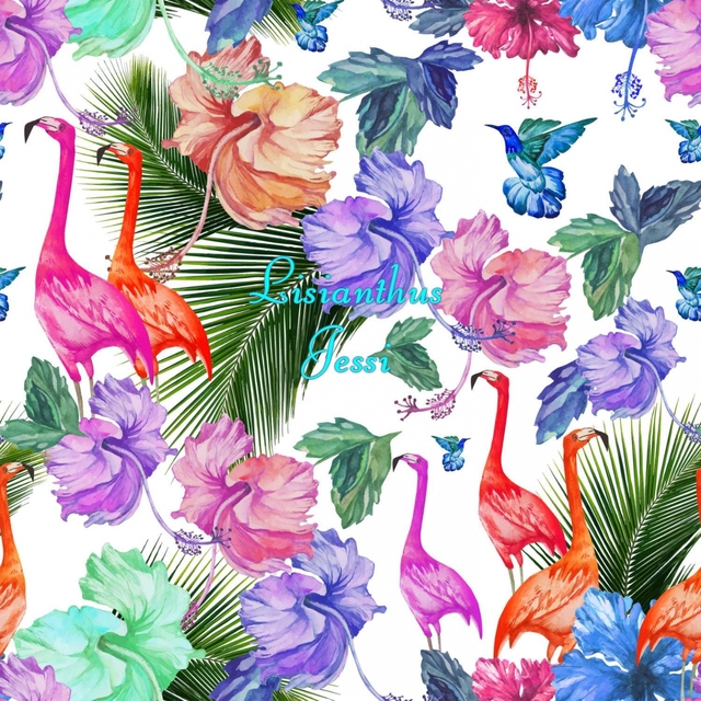 Couverture de Lisianthus