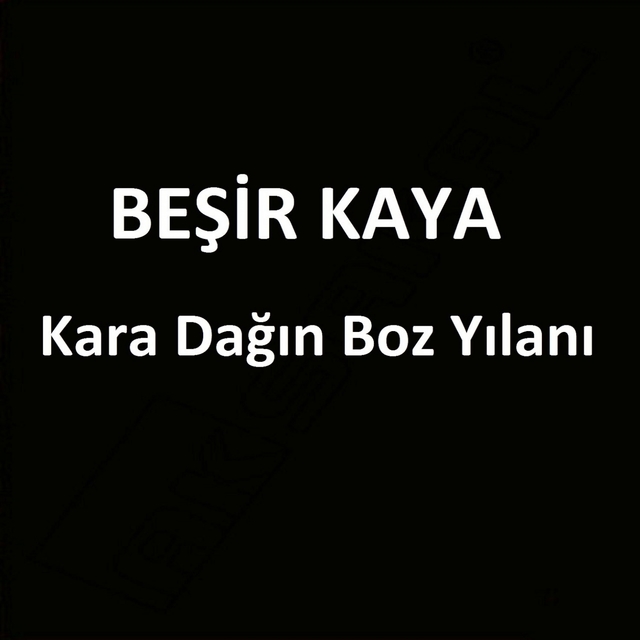 Kara Dağın Boz Yılanı