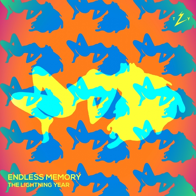 Couverture de Endless Memory