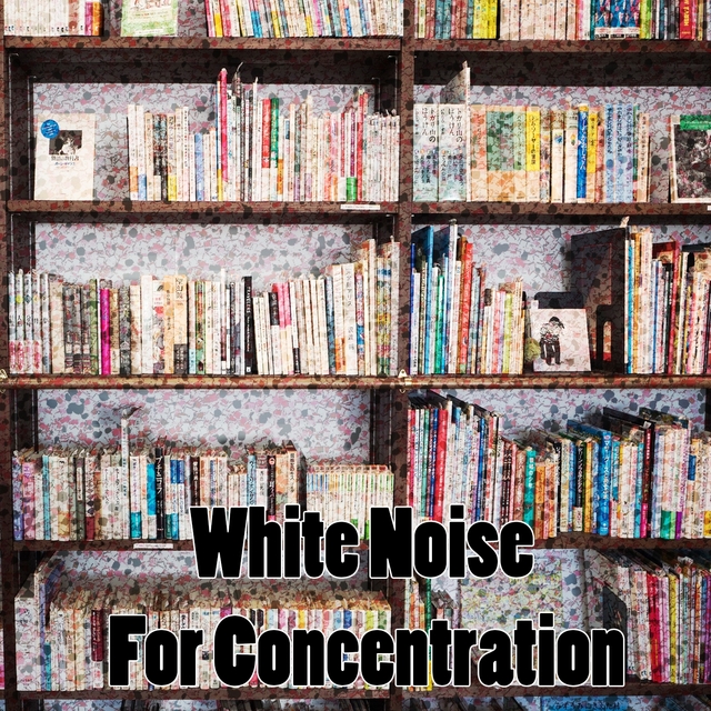 Couverture de White Noise For Concentration