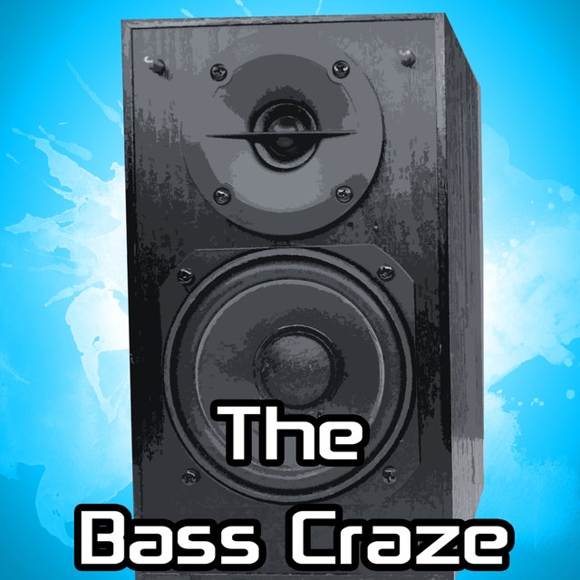 Couverture de The Bass Craze