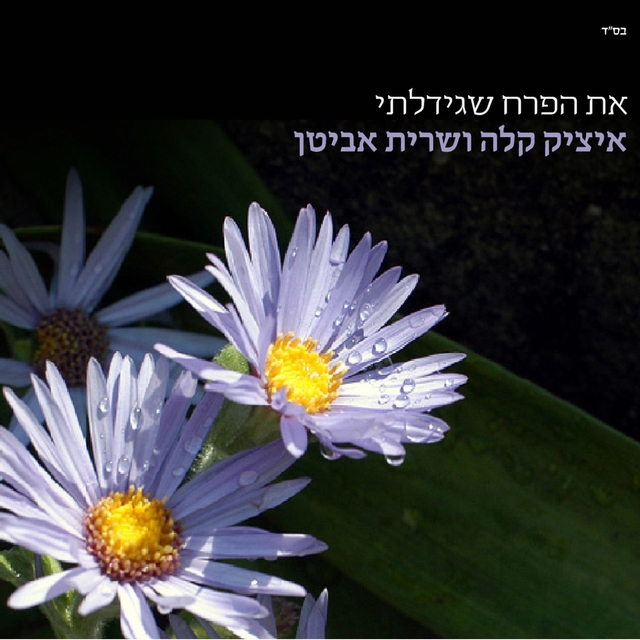 Couverture de At Haperach Shegidalti