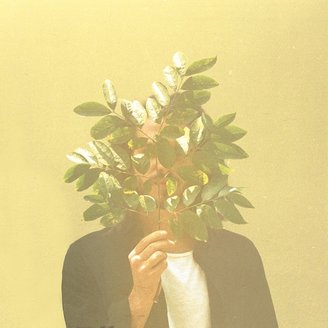 Couverture de French Kiwi Juice