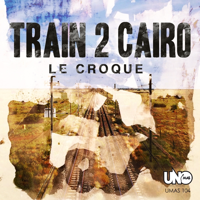 Couverture de Train to Cairo