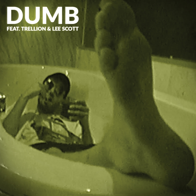 Couverture de Dumb