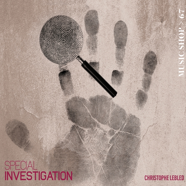 Couverture de Special Investigation