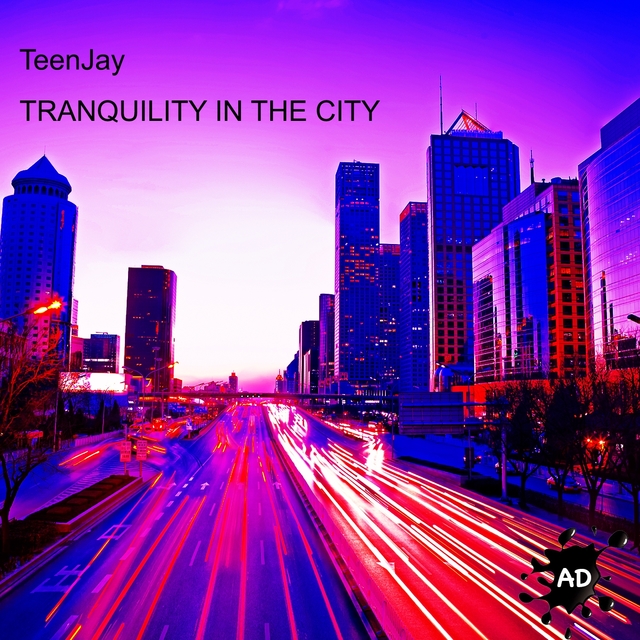 Couverture de Tranquility in the City