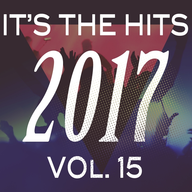 Couverture de It's the Hits! 2017, Vol. 15