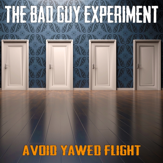 Couverture de Avoid Yawed Flight