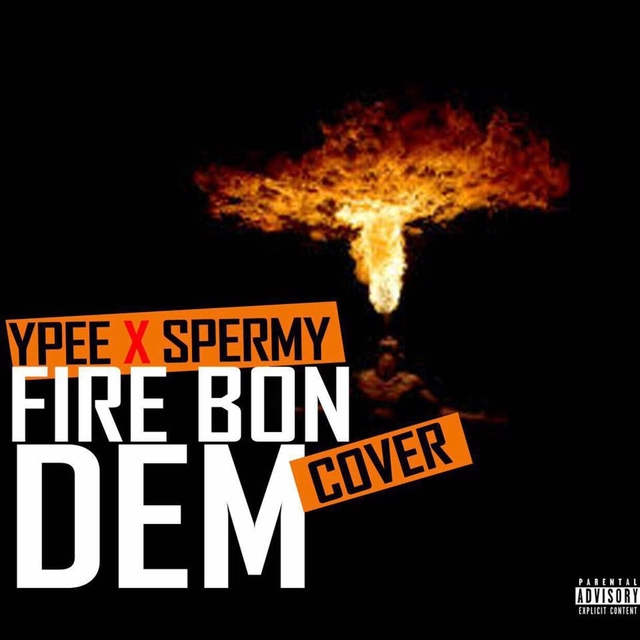 Couverture de Fire Bon Dem