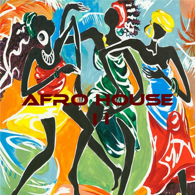 Couverture de Afro House II