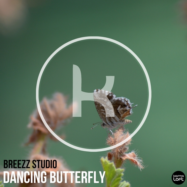 Dancing Butterfly