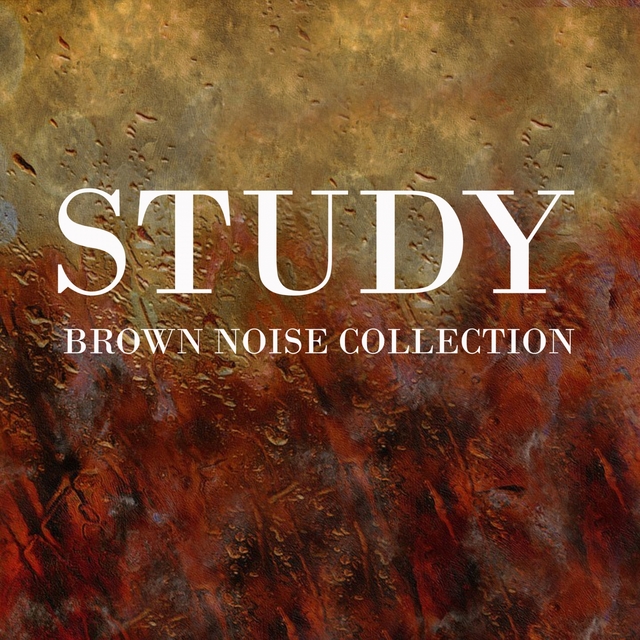 Couverture de Study Brown Noise Collection