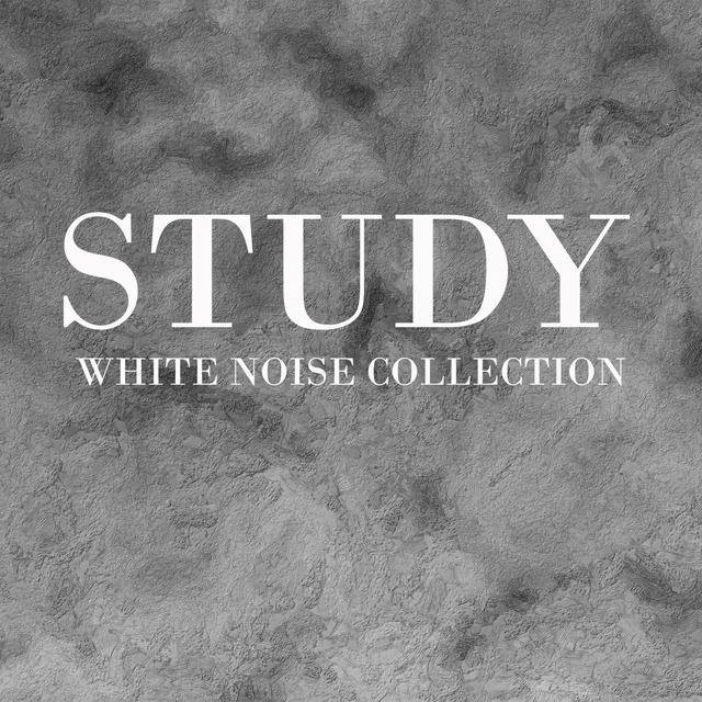 Study White Noise Collection