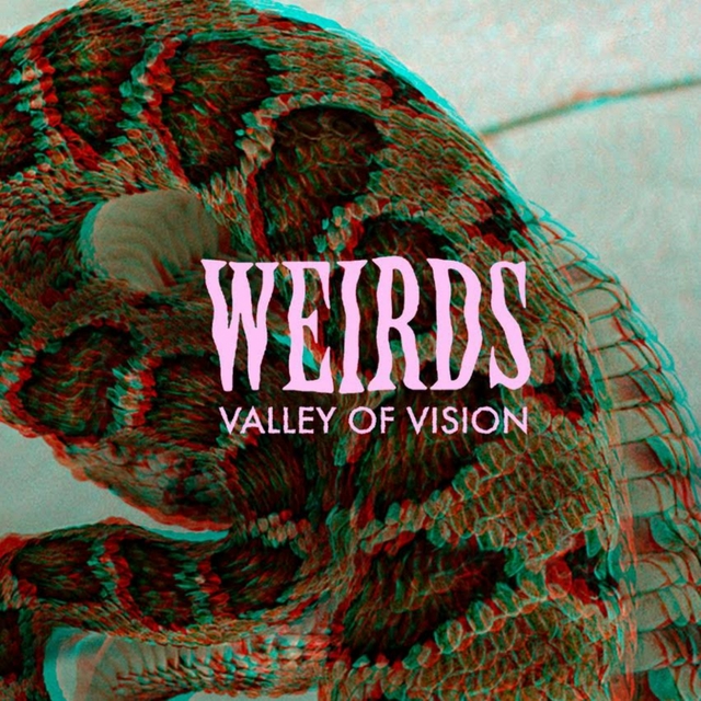 Couverture de Valley of Vision