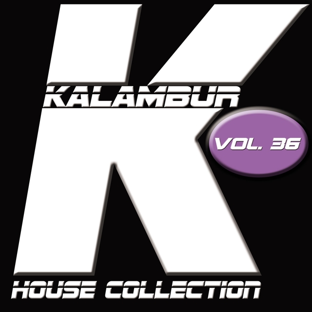 Couverture de Kalambur House Collection, Vol. 36