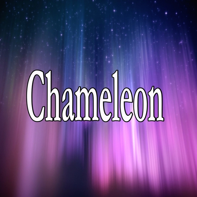 Chameleon (Tribute to Pnau)