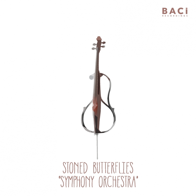 Couverture de Symphony Orchestra