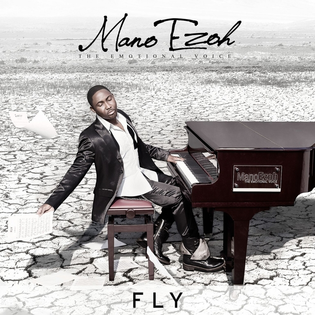 Couverture de Fly