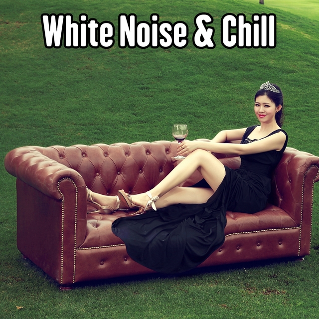 Couverture de White Noise & Chill