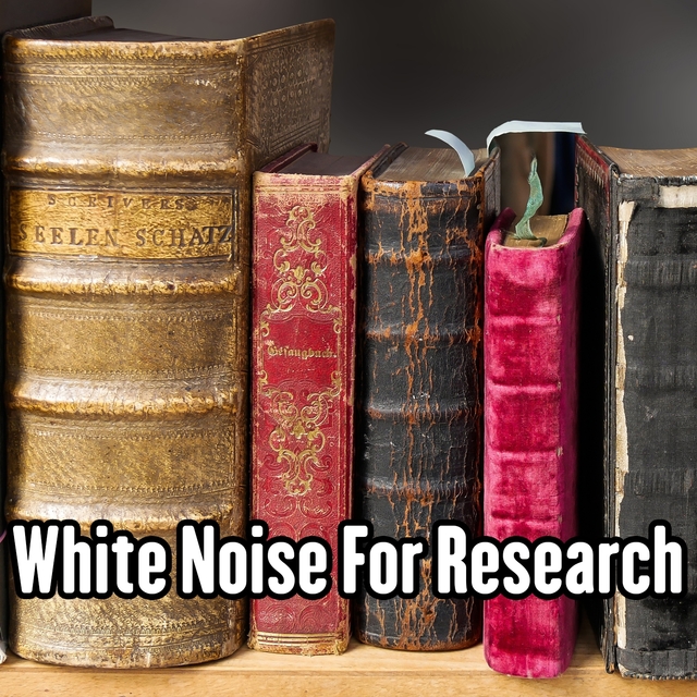 Couverture de White Noise For Research