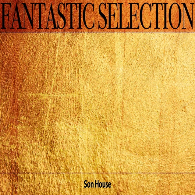 Couverture de Fantastic Selection