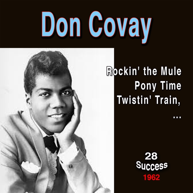 Couverture de Don Covay (28 Success)