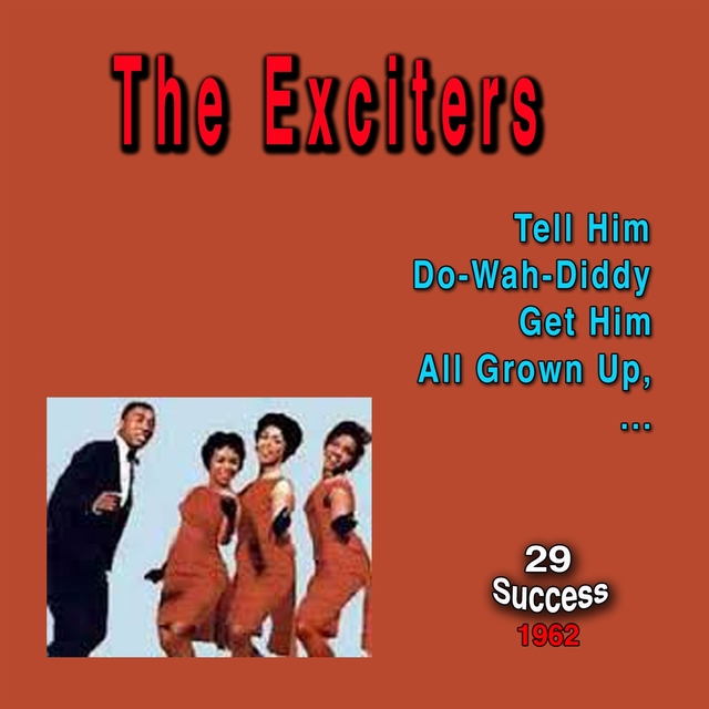 Couverture de The Exciters (29 Success)