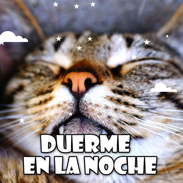 Couverture de Duerme En La Noche