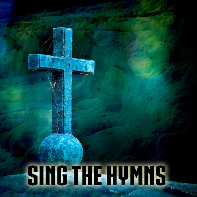 Couverture de Sing The Hymns