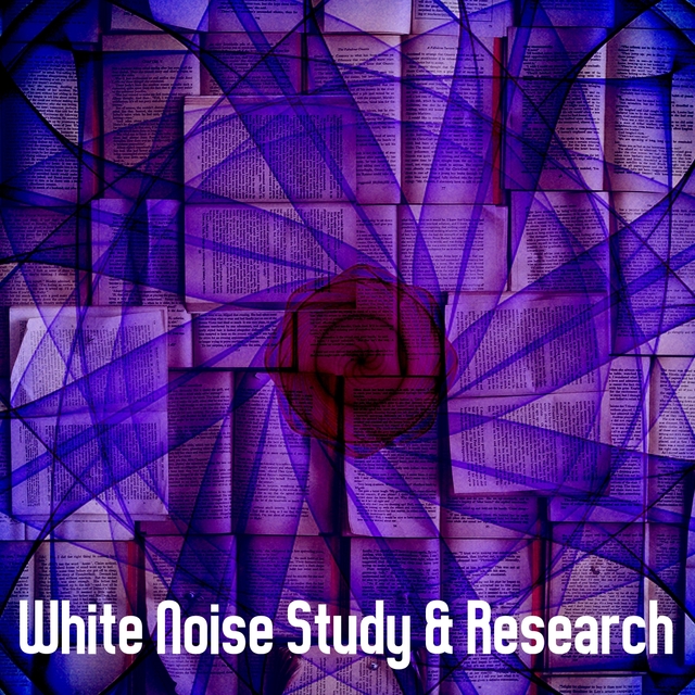 Couverture de White Noise Study & Research