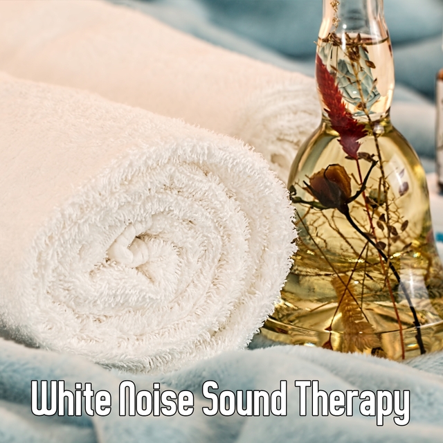 Couverture de White Noise Sound Therapy