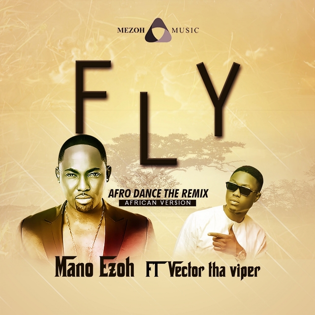 Couverture de Fly Afro Dance (The Remix)