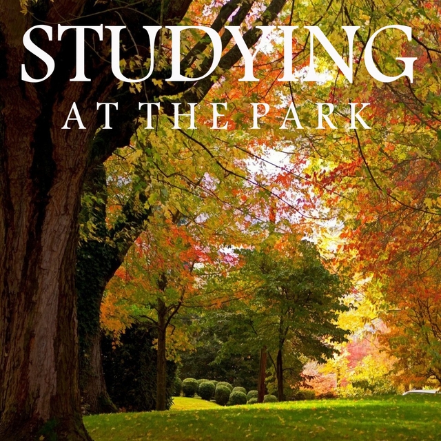 Studying at the Park