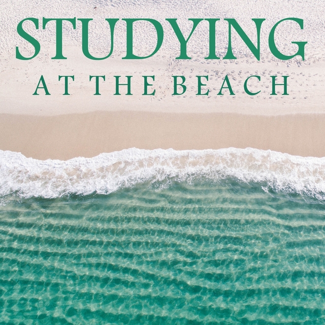 Couverture de Studying at the Beach