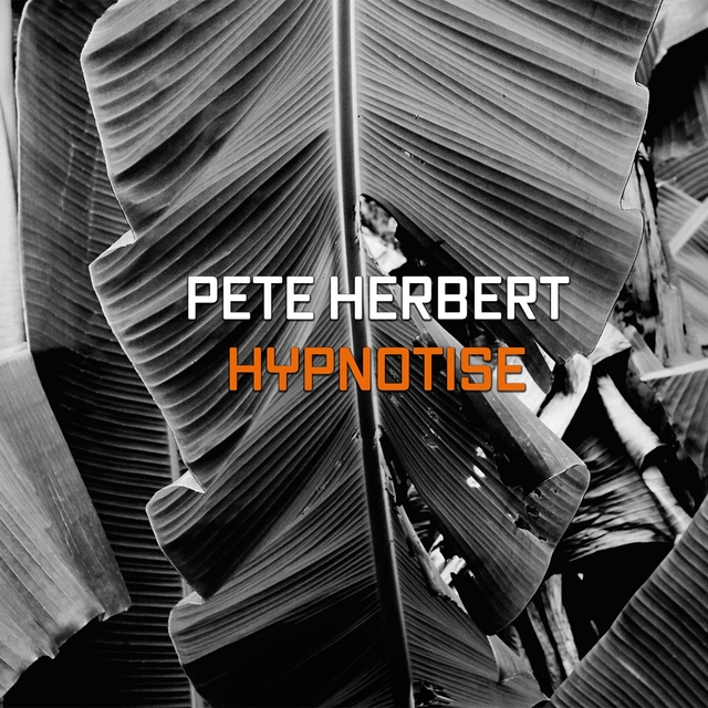 Couverture de Hypnotize