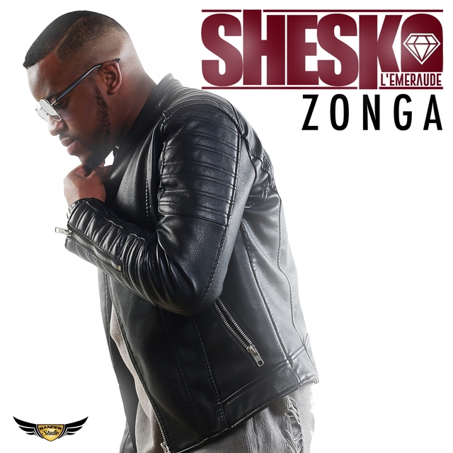 Couverture de Zonga